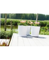 PLATO UNIVERSAL REDONDO 18CM TRANSPARENTE