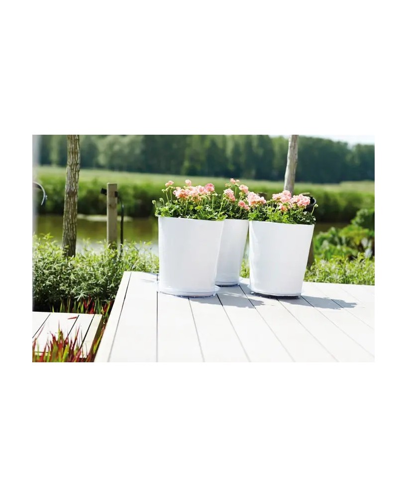 PLATO UNIVERSAL  REDONDO 16CM TRANSPARENTE