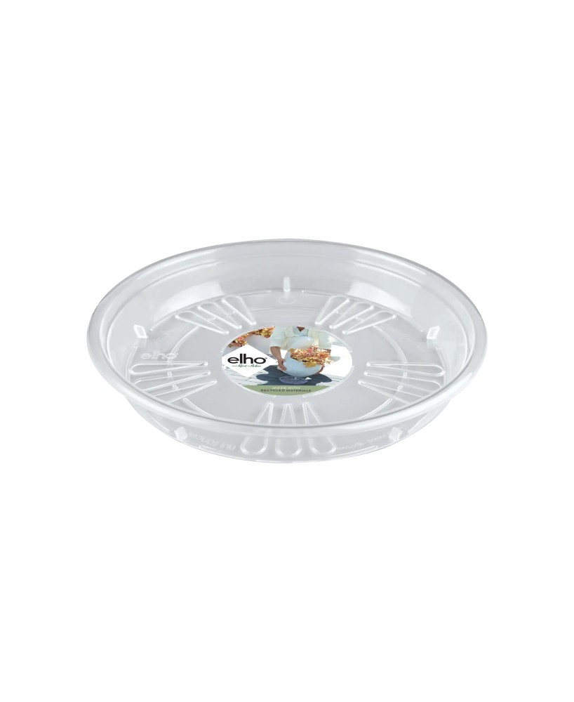 PLATO UNIVERSAL  REDONDO 16CM TRANSPARENTE