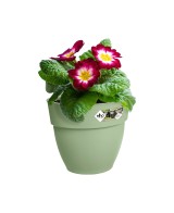 JARDINERA VIBIA CAMPANA EASY HANGER VERDE