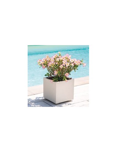 Maceta Cubo Millennium R RA 25cm Perla | Diseño Moderno y Versátil | Endanea Garden