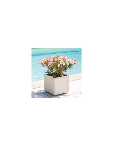 Maceta Cubo Millennium R RA 25cm Perla | Diseño Moderno y Versátil | Endanea Garden