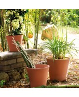 Maceta Vaso Cono Barro Rojo 26 cm | Durabilidad y Estilo para Interior y Exterior

