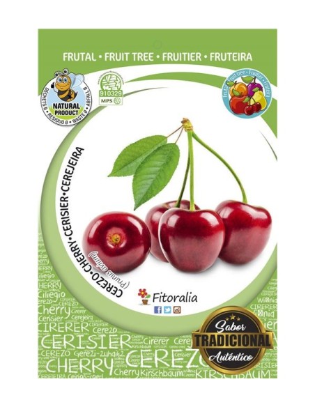 CEREZO LAPINS M25 PRUNUS AVIUM