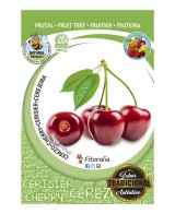 CEREZO LAPINS M25 PRUNUS AVIUM
