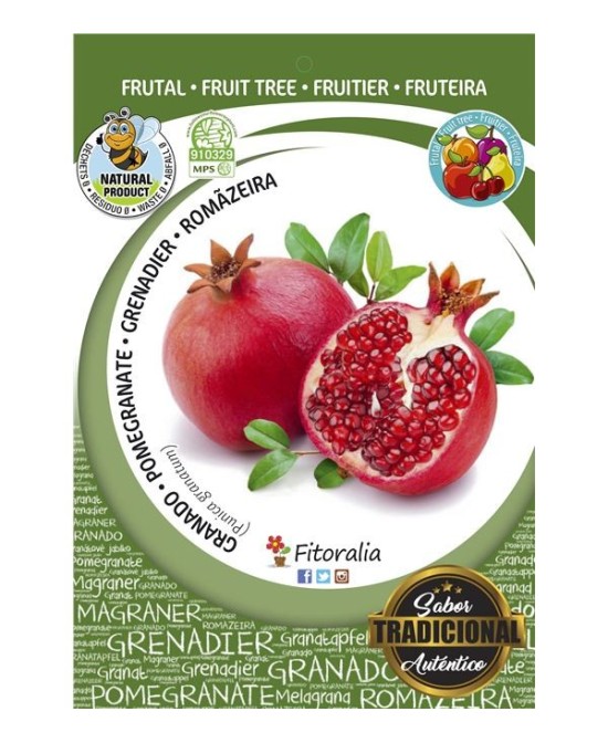 GRANADO  TENDRAL M25 PUNICA GRANATUM 2