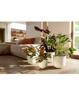 Maceta Jazz Redonda Blanco Sedoso 35 cm  Elegancia y Estilo para tu Hogar o Terraza

