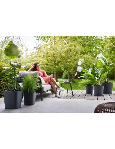 Maceta AC Round 30 cm Charcoal Grey | Diseño Moderno y Resistente para Interiores y Exteriores | Endanea Garden