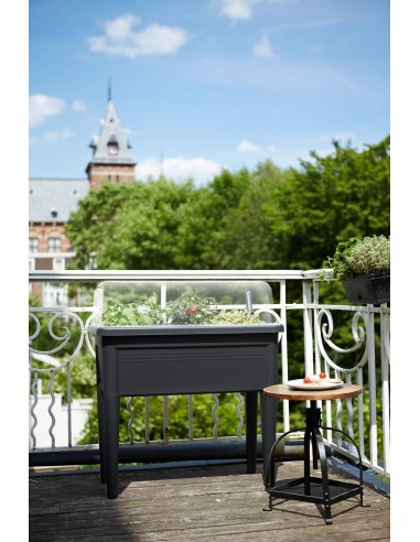 Mesa de Cultivo XXL NGRa. | Amplia, Ergonómica y Resistente en Endanea Garden

