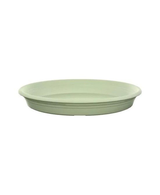 Plato Redondo Universal 19 cm Verde  Protección para Macetas Pequeñas | Endanea Garden

