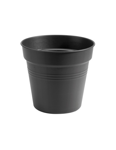 Maceta de Cultivo GB 15CM Negro - Ideal para Semilleros y Plantas Pequeñas | Endanea Garden

