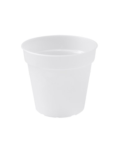 Maceta GB Orquídea Transparente 17 cm - Diseño Elegante y Funcional para Orquídeas | Endanea Garden