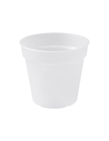 Maceta GB Orquídea Transparente 17 cm - Diseño Elegante y Funcional para Orquídeas | Endanea Garden