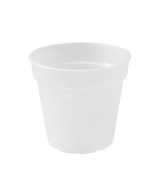Maceta GB Orquídea Transparente 17 cm - Diseño Elegante y Funcional para Orquídeas | Endanea Garden