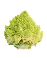 COLIFLOR ROMANESCO PACK 12