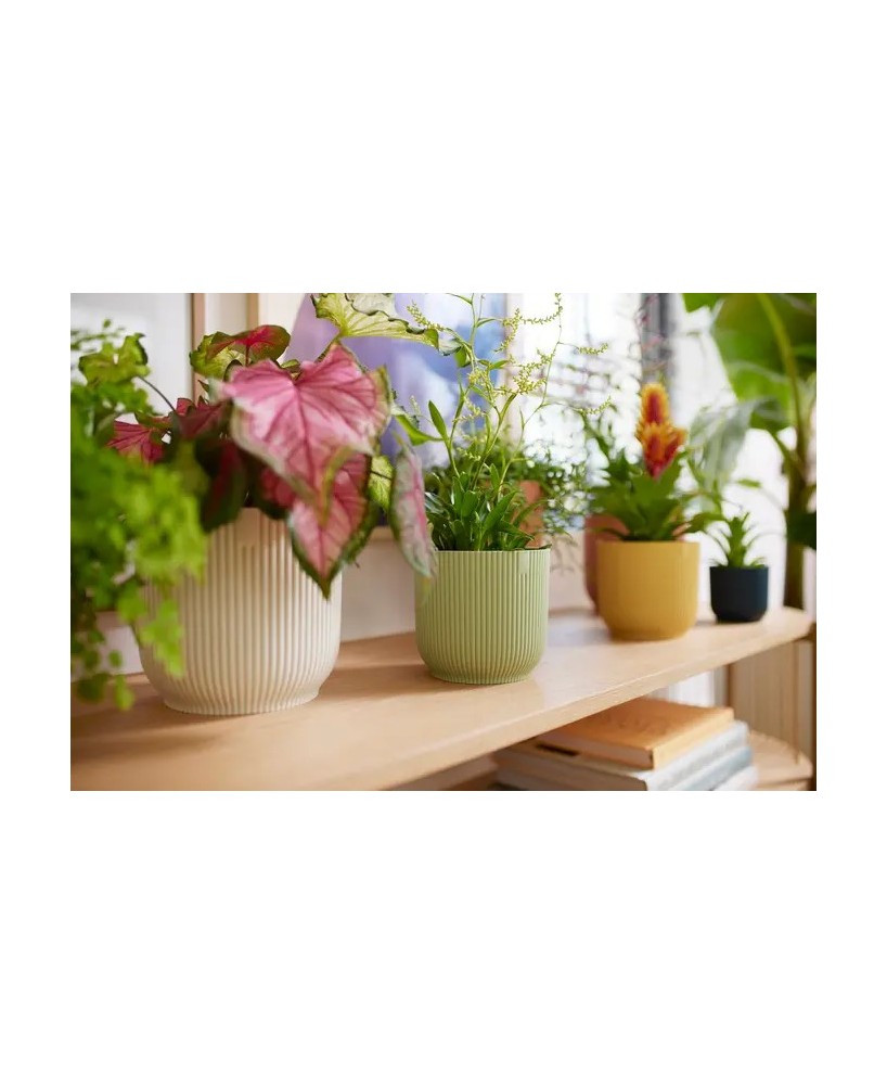 Maceta Vibes FOD Round Mini 9 cm Verde Sorbete - Estilo y Frescura para tu Hogar | Endanea Garden