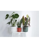 MACETA  B. FOR SOFT REDONDO 18CM VERDE
