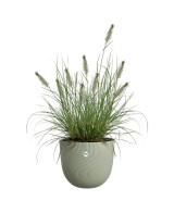 Maceta Verde Escandinavo 40 cm | Estilo Moderno y Natural | Endanea Garden

