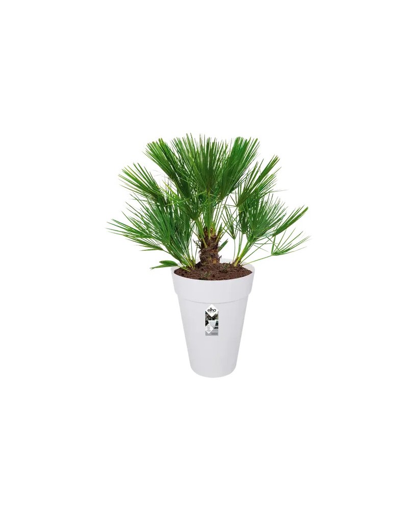 Maceta Urban Redonda Alta 42cm Blanca | Ideal para Plantas Grandes | Endanea Garden