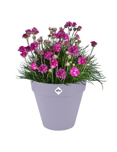 Macetero Redondo Lila Lavanda 30cm - Elegante y Resistente | Endanea Garden

