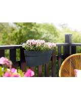 MACETA VIBIA CAMPANA EASY HANGER ANTRACITA | Maceta Colgante Moderna para Balcón y Terraza | Endanea Garden