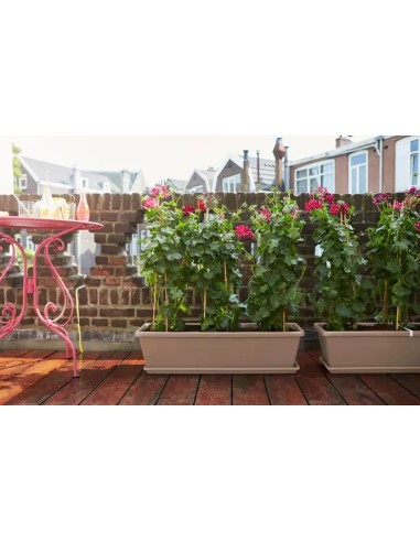 Jardinera Barcelona XL 60 cm Taupe | Diseño Elegante para Jardines, Terrazas y Balcones | Endanea Garden