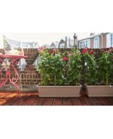 Jardinera Barcelona XL 60 cm Taupe | Diseño Elegante para Jardines, Terrazas y Balcones | Endanea Garden