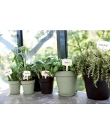 Plato GB 22 Stone Green para Macetas | Resistente y Decorativo