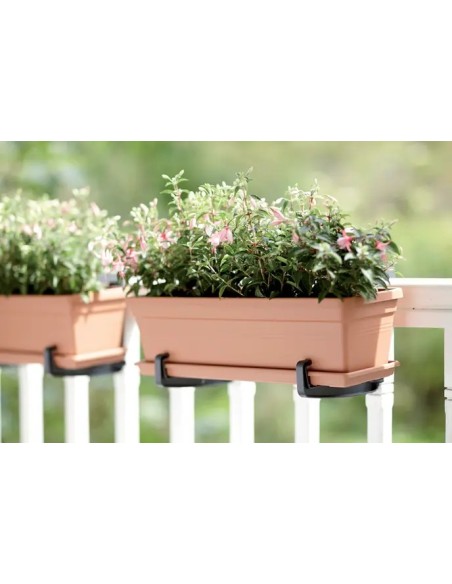Plato GB Rectangular 60cm Terra  Complemento Ideal para Jardineras | Endanea Garden