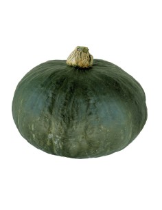 CALABAZA TOTANA PACK 1 2