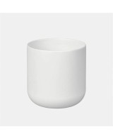 Planta en Maceta SITA Blanco 11x11.5 cm  Elegancia y Naturaleza para Interiores


