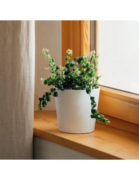 Maceta Cometa Blanco 13x13.5 cm  Elegancia Moderna para Tus Plantas | Endanea Garden

