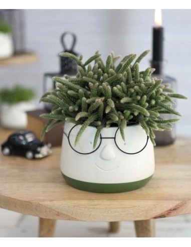 CERAMIC POT WITH GLASSES ES 8.5 BLANCO