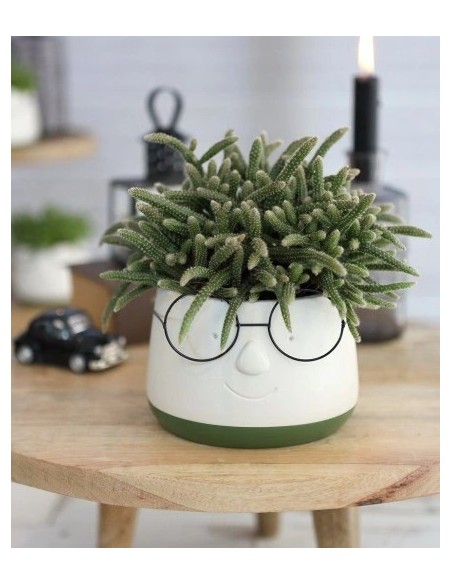 CERAMIC POT WITH GLASSES ES 8.5 BLANCO