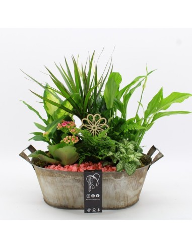 COMPO Basic BACR 2516RZ M32 Composición Floral | Endanea Garden