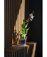 Maceta Porto Transparente 14x15 cm  Elegancia y Durabilidad | Endanea Garden

