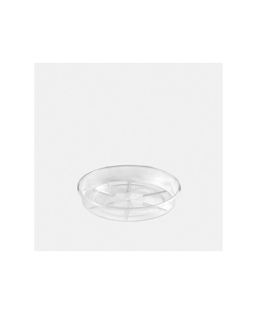 Plato Porto Transparente 12x2cm para Macetas - Protección y Estilo | Endanea Garden