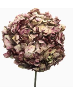 HORTENSIA PRESERVADA