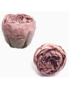 ROSAS PRESERVADAS ROSA AMOR CAJA 6UNI