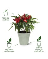 MACETA G.B. GROWPOT 21CM VERDE