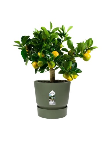 MACETA GREENVILLE REDONDO 30CM VERDE