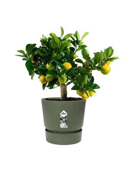 MACETA GREENVILLE REDONDO 30CM VERDE