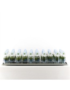 WATERPLANTS OXYGEN M12