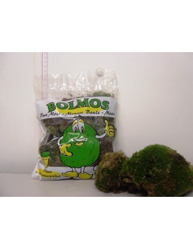 Moss Bol Bag 1 kg Verde musgo natural para jardinería decoración floral y manualidades