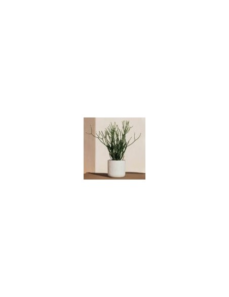 Maceta Sita Air Blanco 18.5x18 cm Herstera  Diseño Moderno y Duradero

