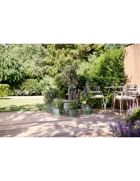 PLATO LOFT REDONDO THYME  21CM VERDE