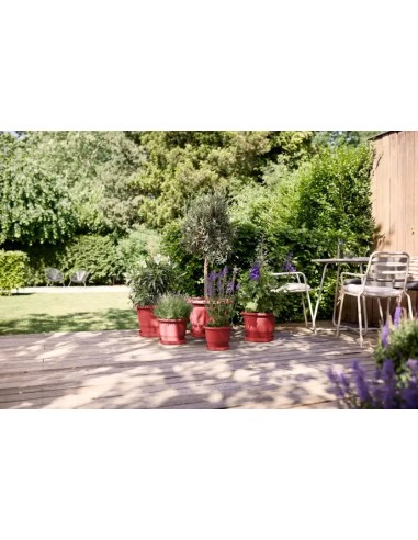 PLATO LOFT REDONDO THEATRE 24CM ROJO