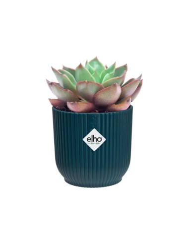 Maceta Vibes Mini Azul 9 cm  Elegancia y Estilo para Plantas Pequeñas | Endanea Garden

