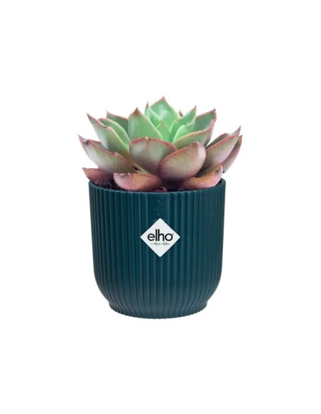 Maceta Vibes Mini Azul 9 cm  Elegancia y Estilo para Plantas Pequeñas | Endanea Garden

