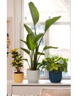 Maceta Vibes Fold Round Mini 25 cm Blanco  Elegancia Moderna para Plantas | Endanea Garden

